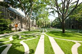 College Green Space