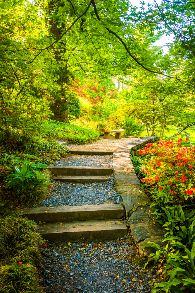 Garden path in the National Botanical Garden in Washington, D.C.