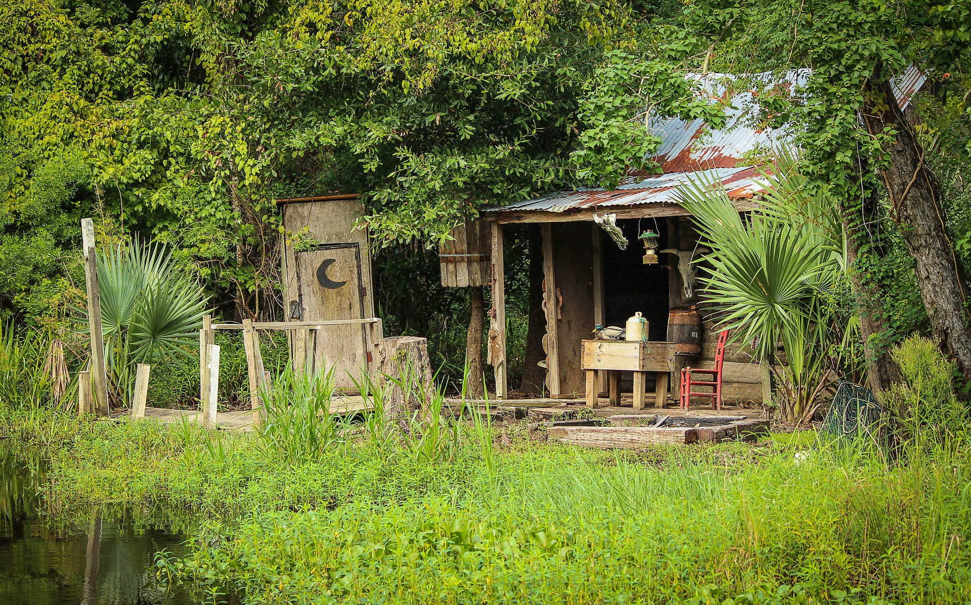 Cabin on swamp in New Orleans