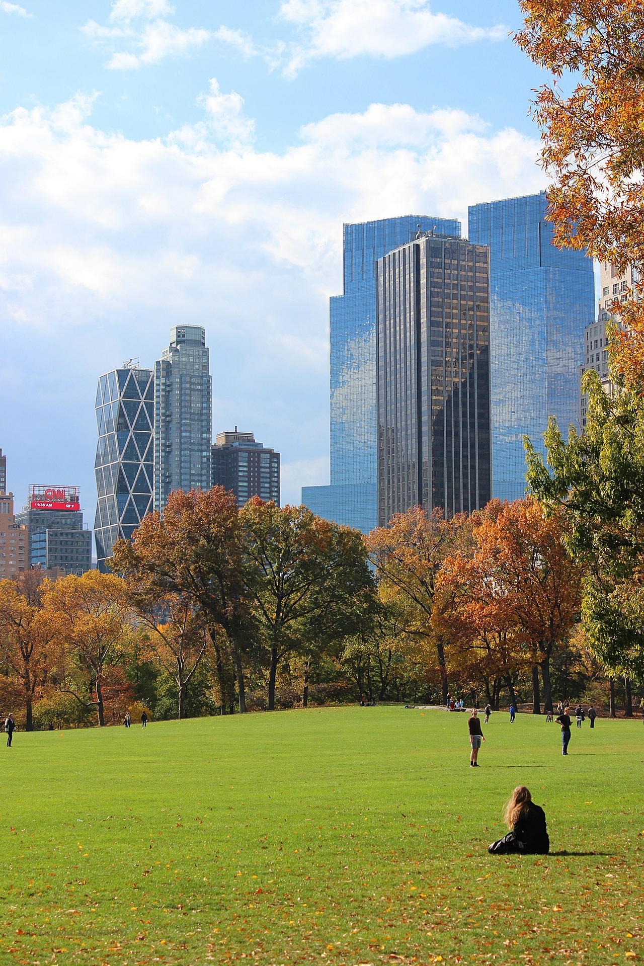 Central Park with GO Educational Tours