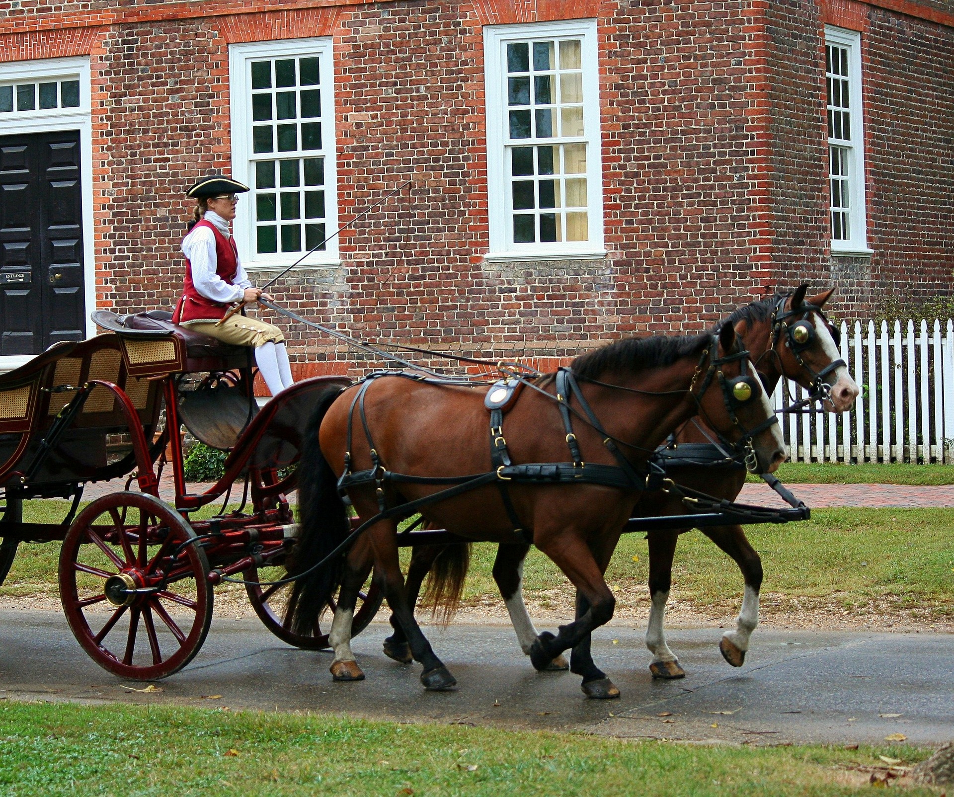 Horse carriage in Colonial Williamsburg.