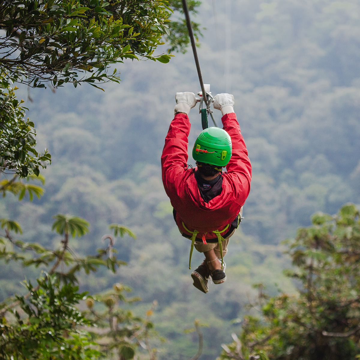 person going down a zipline in a jungle